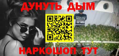 гидра Можга