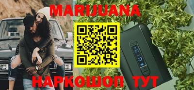гидра Можга