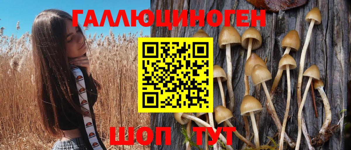 Галлюциногенные грибы GOLDEN TEACHER  Вход с VPN  Ханты-Мансийск 